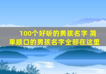 100个好听的男孩名字 简单顺口的男孩名字全部在这里